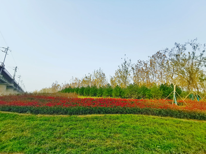 AG8�콢����(�й�)����