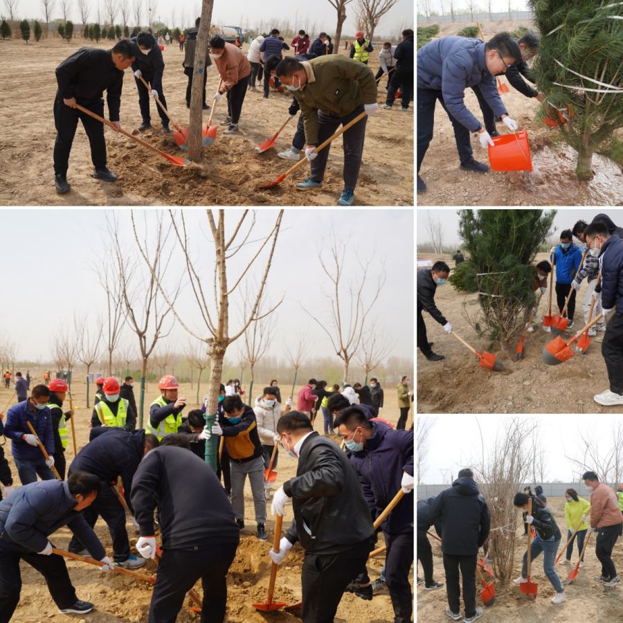 AG8�콢����(�й�)����