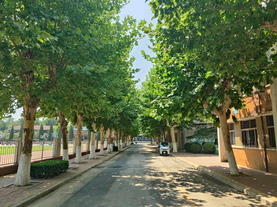 AG8�콢����(�й�)����