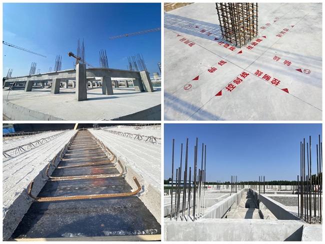 AG8�콢����(�й�)����