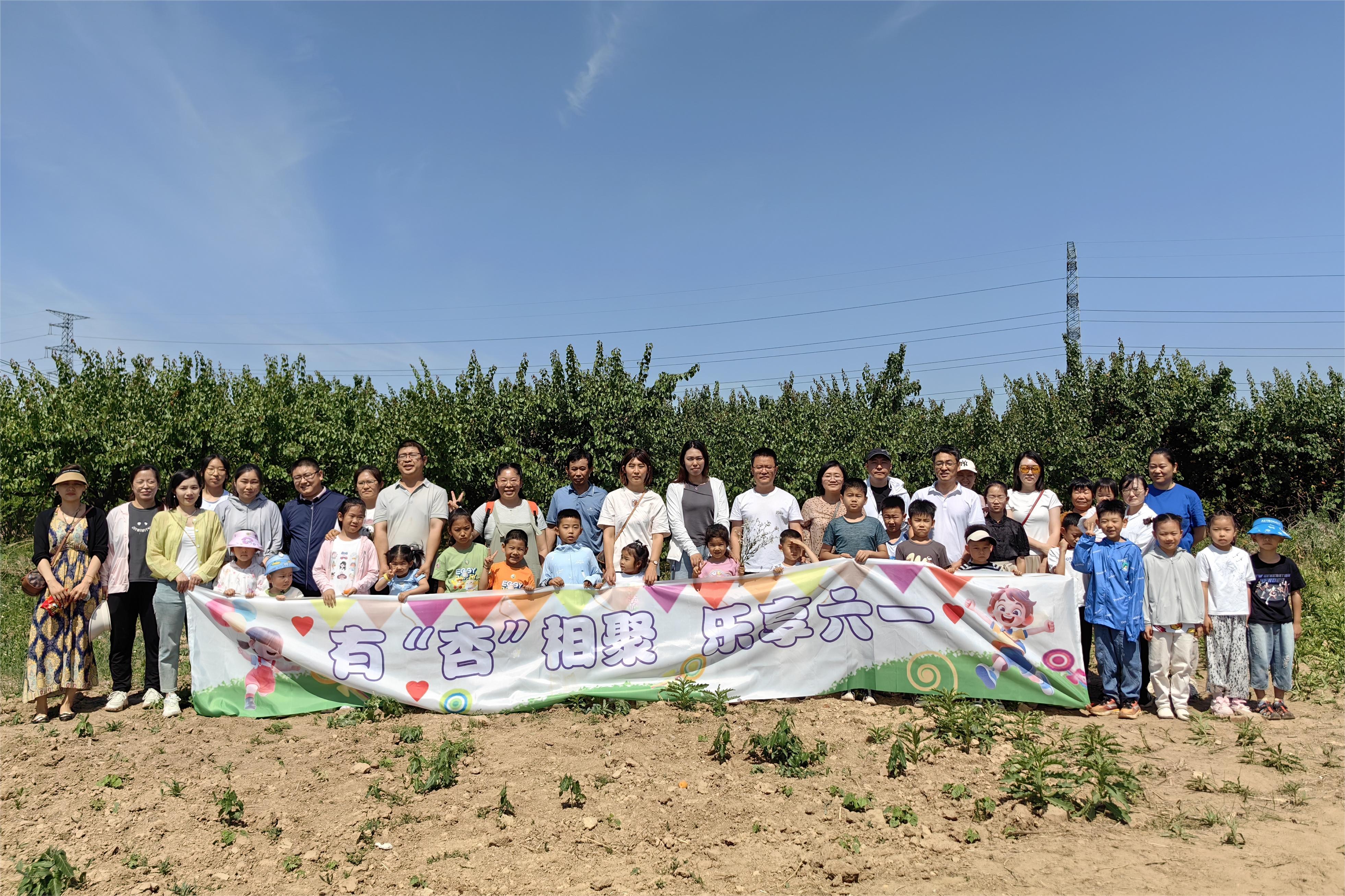 AG8�콢����(�й�)����