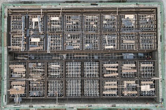 AG8�콢����(�й�)����