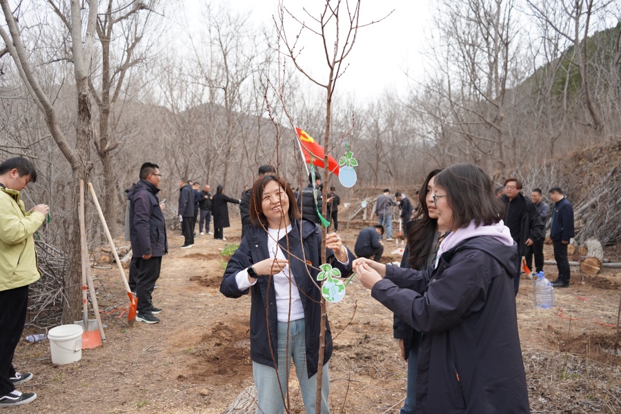 AG8�콢����(�й�)����