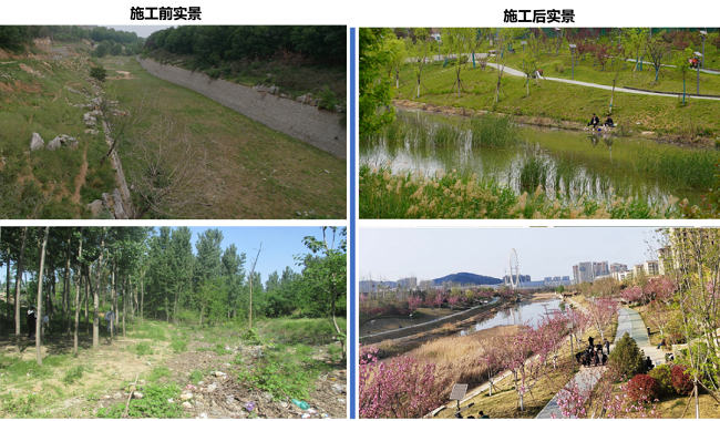 AG8�콢����(�й�)����