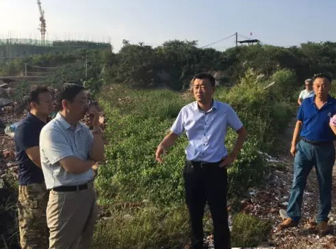 AG8�콢����(�й�)����