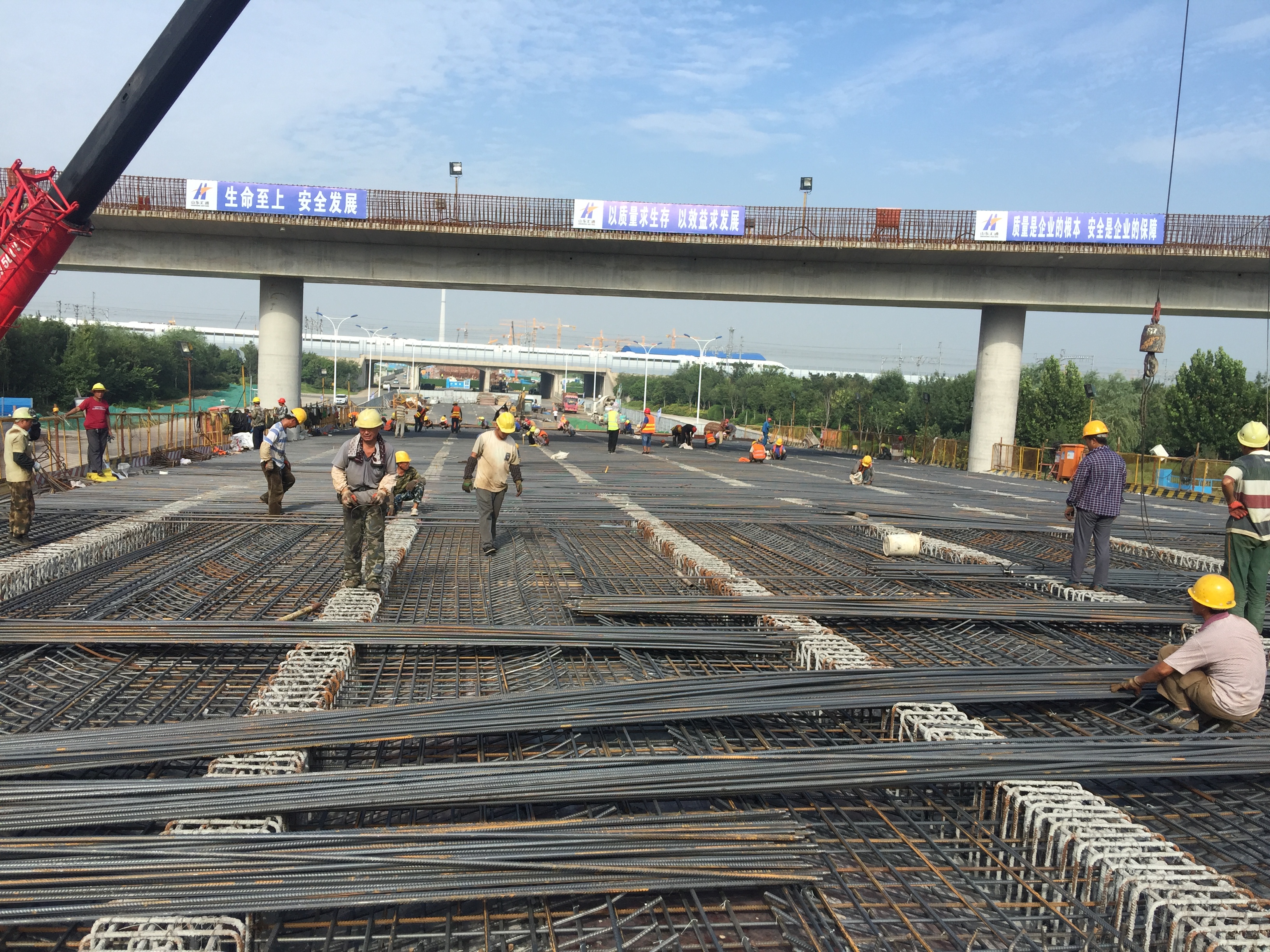 AG8�콢����(�й�)����