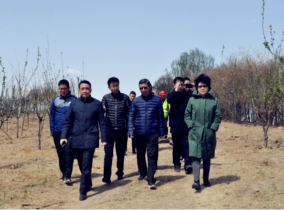 AG8旗舰厅·(中国)集团