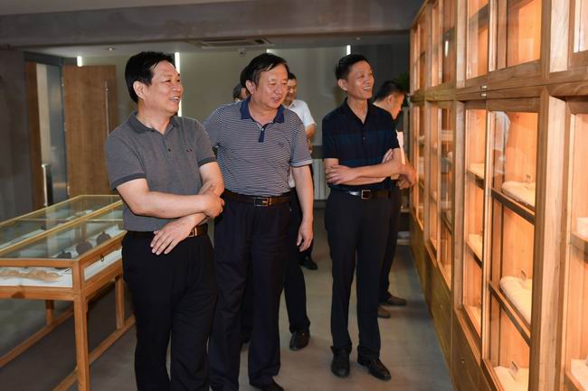 AG8�콢����(�й�)����