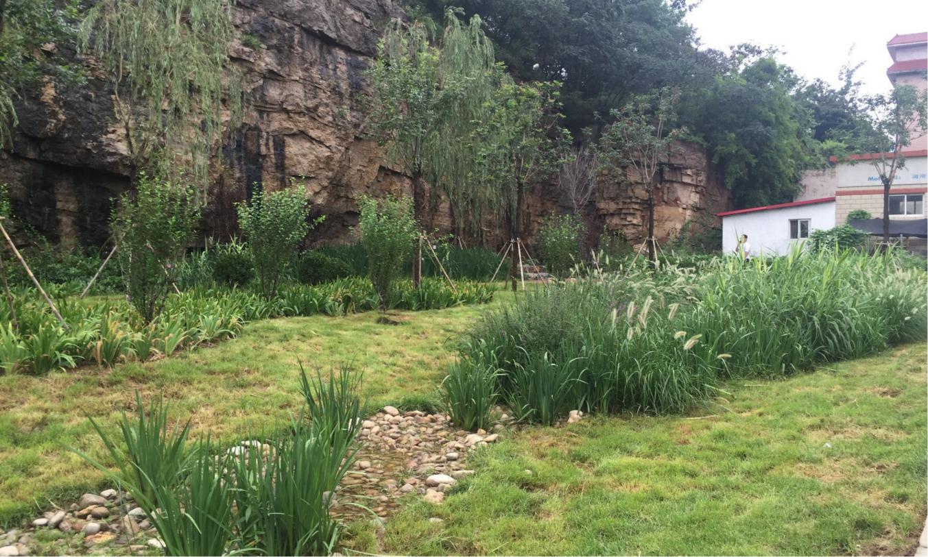 AG8�콢����(�й�)����