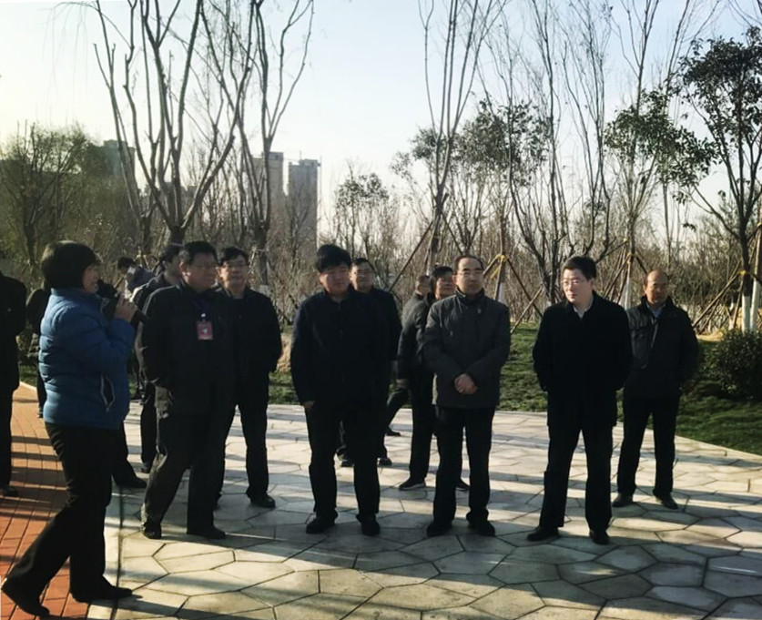 AG8�콢����(�й�)����