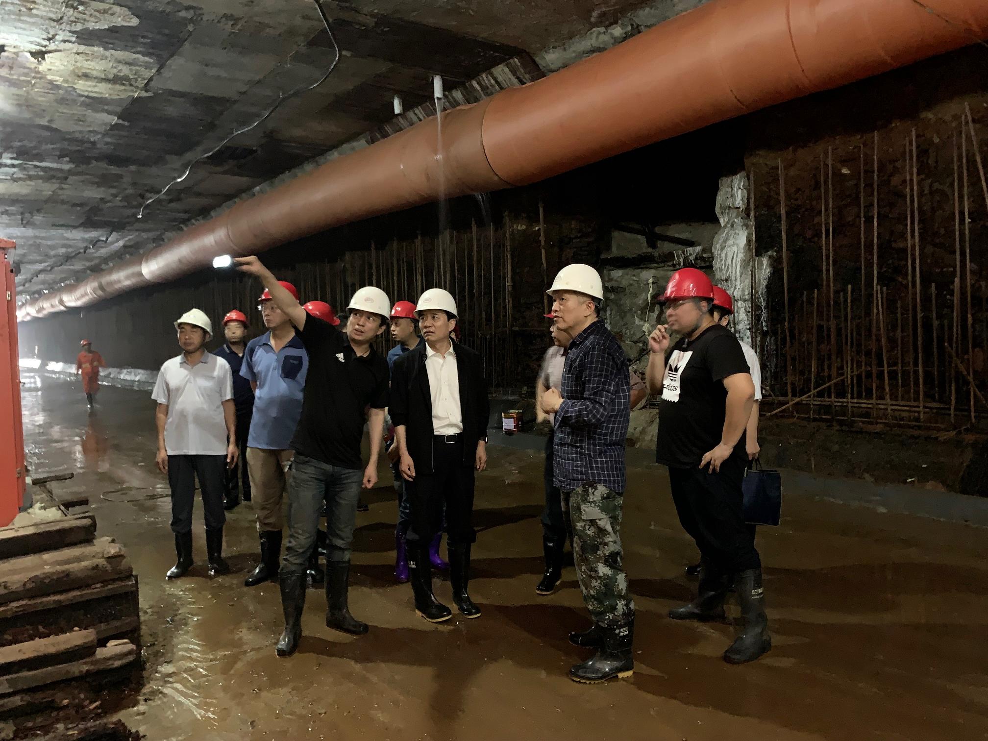 AG8�콢����(�й�)����