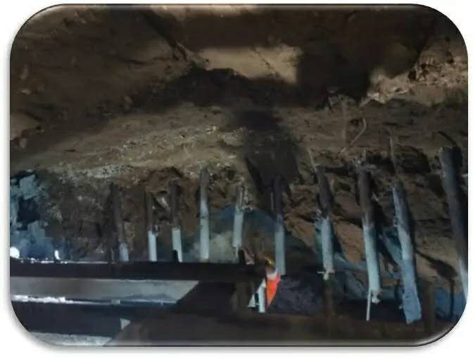 AG8�콢����(�й�)����