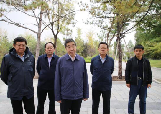 AG8�콢����(�й�)����