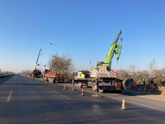 AG8�콢����(�й�)����