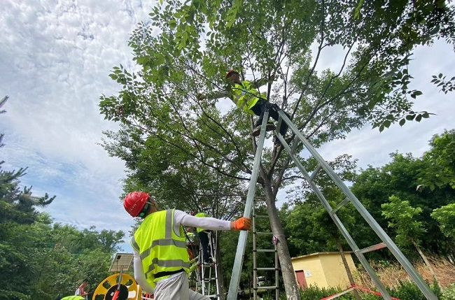 AG8�콢����(�й�)����