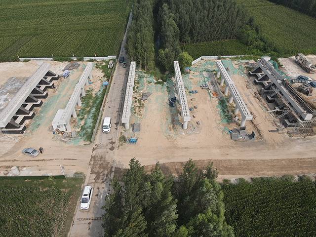 AG8�콢����(�й�)����